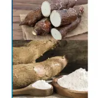 Tapioca Starch
