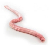 Beef Penis