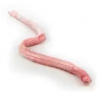 Beef Penis
