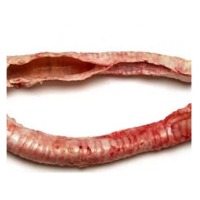 Beef Trachea