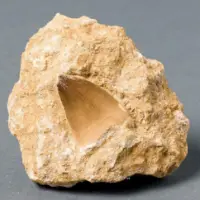 Phosphate