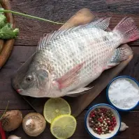 Fresh Tilapia Fish