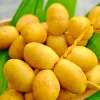 Barhi Dates