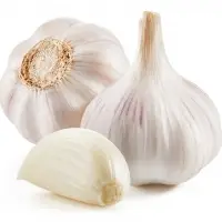 Fresh Garlic/ Dry Garlic