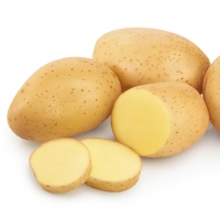 Fresh Potatoes