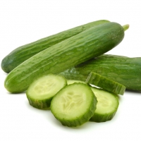 Fresh Cucumber