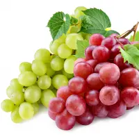 Fresh Grapes Red , Green