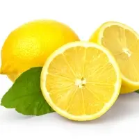 Fresh Lemon / Lime
