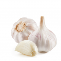 Fresh Garlic