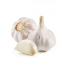 Fresh Garlic