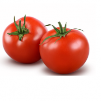 Fresh Tomatoes