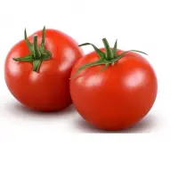 Fresh Tomatoes