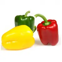 Fresh Capsicum /Pepper