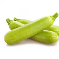 Fresh Zucchini