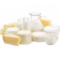 Dairy