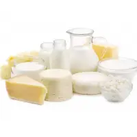 Dairy