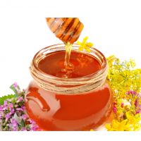 Honey Bees