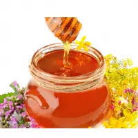 Honey Bees