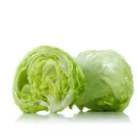 Fresh Iceberg Lettuce