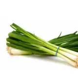 Fresh Spring Onion