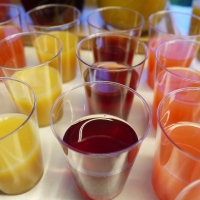 Nfc Fruit Juices