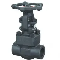 Forge Steel Gate Valve