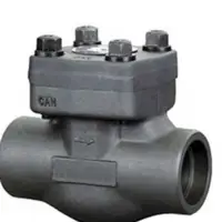 Forge Steel Check Valve