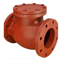 Cast Steel Check Valve