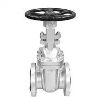 Cast Steel Gate Valve
