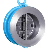 Dual Plate Check Valve
