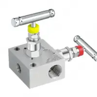 Two Way Manifolds