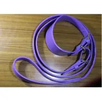 Dog Leather Blue Colar