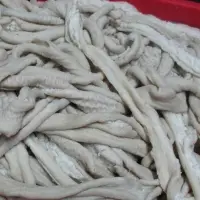 Cow intestines