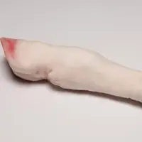 Cow Feet no hair