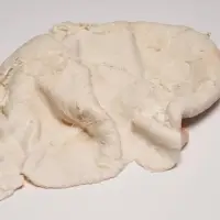 Beef Tripe cooked