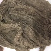 Black Omasum