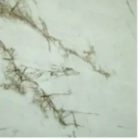Porcelain Tiles