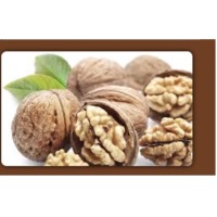 Walnut