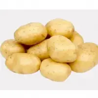 Potato