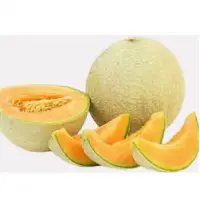 Musk Melon