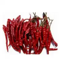 Dry Red Chilli