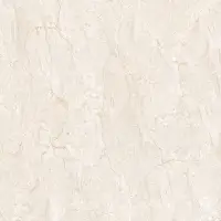 Azulejos De Porcelain Tiles