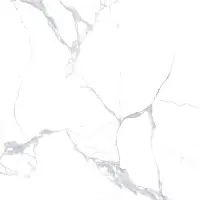 Polished Porcelain Tiles