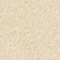 Porcelain Floor Tiles