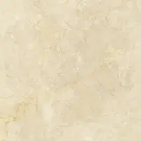 Porcelain Tiles