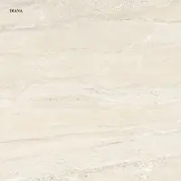Polished Tiles