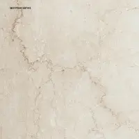 Digital Inkjet Porcelain Tiles