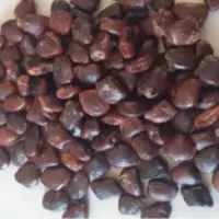 Tamarind Seeds