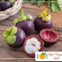 Manggosteen