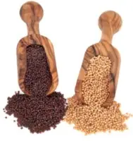 Mustard Seeds
